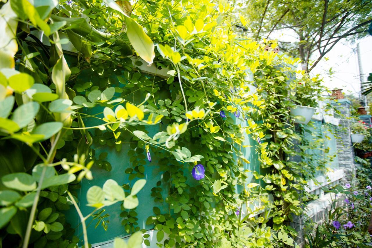 Magnolia Garden Villa Hội An Kültér fotó