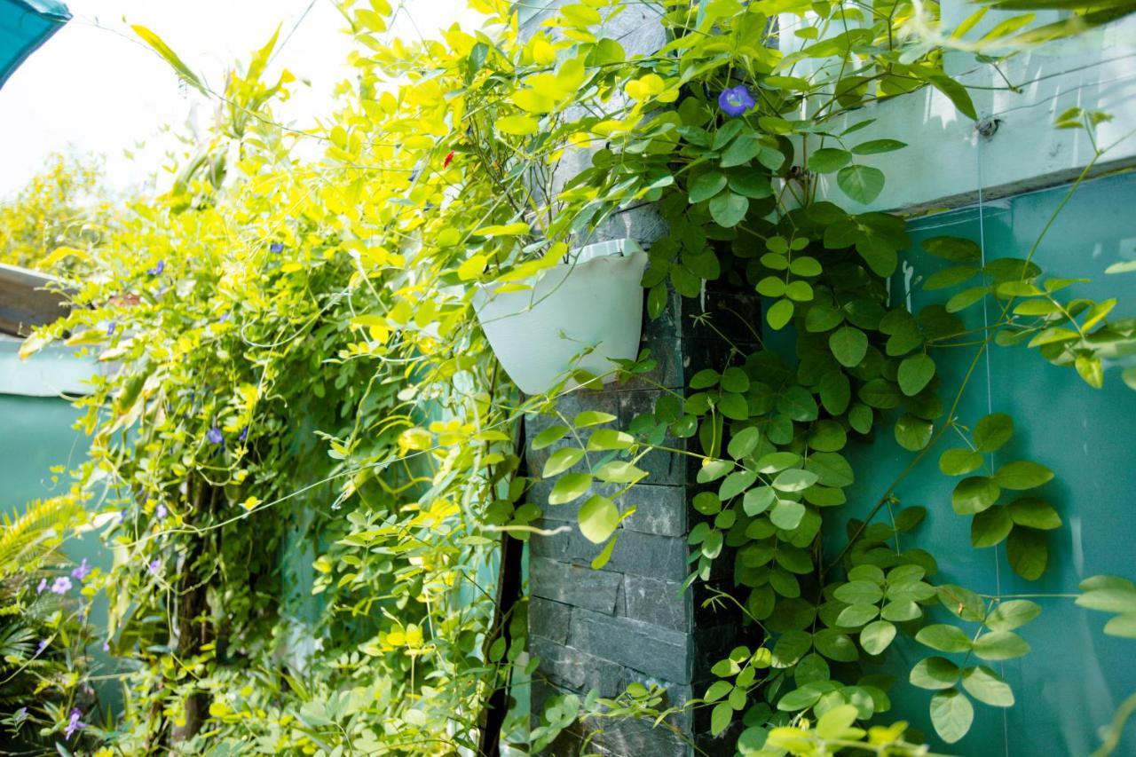 Magnolia Garden Villa Hội An Kültér fotó